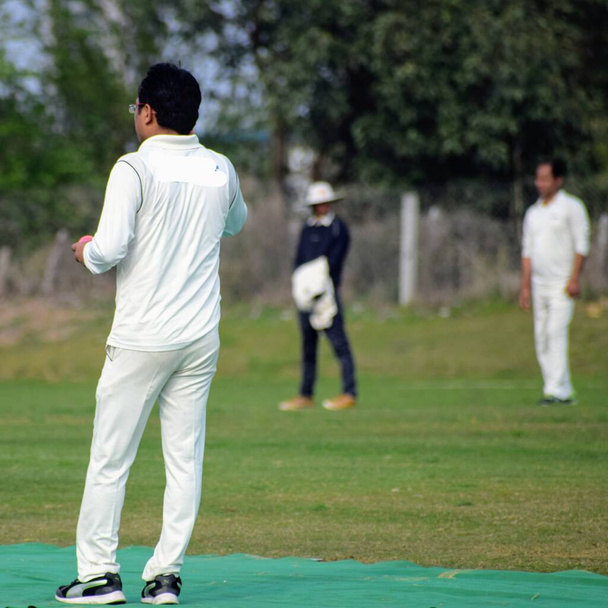 Πλήρες μήκος του παίκτη κρίκετ που παίζει στο γήπεδο κατά τη διάρκεια της ηλιόλουστης ημέρας, Cricketer στο γήπεδο σε δράση, Οι παίκτες παίζουν το παιχνίδι κρίκετ στο γήπεδο - Φωτογραφία, εικόνα