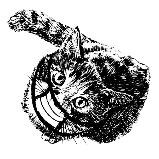 illustratie van kat met masker hand getekend geïsoleerd op witte achtergrond - Vector, afbeelding