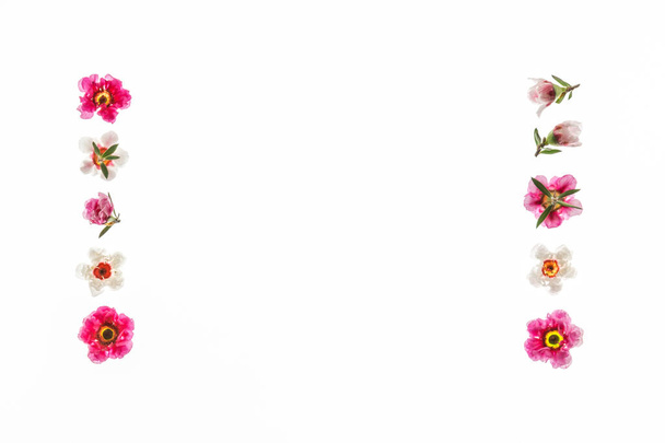 rosa und weiße neuseeländische Teebaumblüten als Bilderrahmen arrangiert - Foto, Bild
