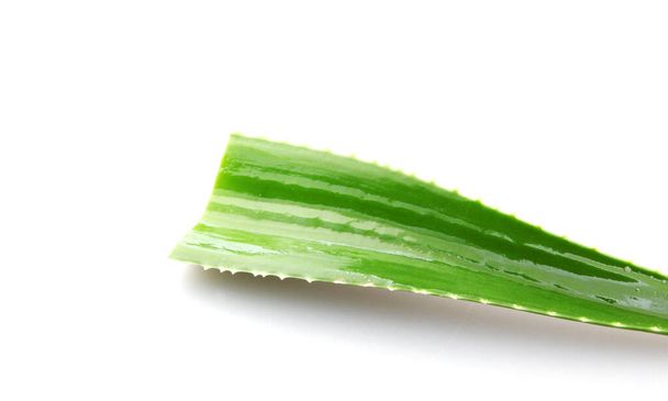 Aloe vera plant isolated on white background. Aloe vera is a succulent plant species of the genus Aloe. It is cultivated for agricultural and medicinal uses - Foto, Bild