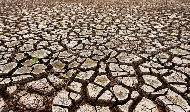Gebarsten droog land zonder water - Foto, afbeelding