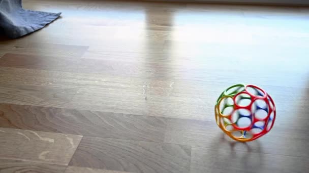 Színes játék műanyag labda csecsemők, gyerekek vagy háziállatok, forgó körül egy fa nappali padlón lassított felvételen. A labda körbeforog a padlón, mielőtt megállna. Készletfelvétel Brian Holm Nielsen. - Felvétel, videó