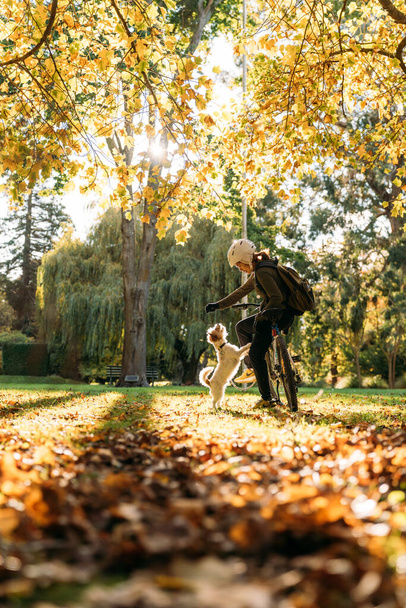 19 / 4 / 2020 Asiatin mit Fahrrad füttert einen Hund im Herbst im Botanischen Garten, Oamaru, Neuseeland. Konzept über Bewegung während der sozialen Isolation von Coronavirus oder Covid 19. - Foto, Bild