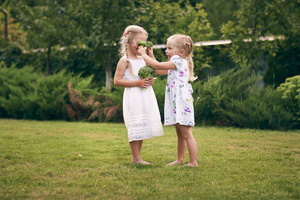 Two little girls in sarafans and pigtails in a green garden are holding broccoli in their hands. They close their eyes, laugh. Healthy food concept, green vegetarian food. - Photo, Image
