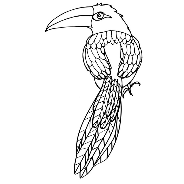 Vector hand drawn toucan. Hand drawing coloring book for children and adults. Beautiful drawings with patterns and small details. For anti-stress and children's coloring page, emblem or tattoo. - Vektori, kuva