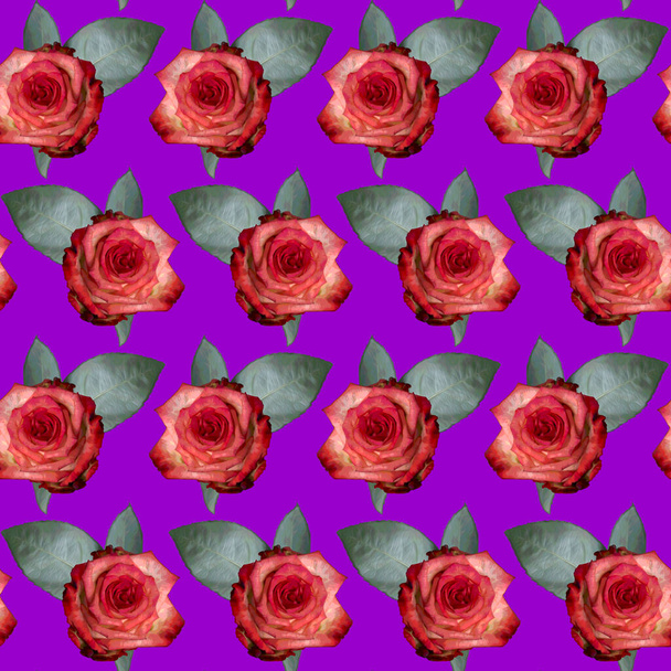 Seamless pattern with pink rose flowers and green leaves on purple background. Endless colorful floral texture. Raster illustration. - Fotografie, Obrázek