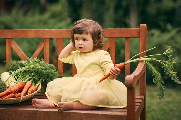 Μικρό σγουρό κορίτσι με κίτρινο φόρεμα, ξυπόλητο, κρατά ένα καρότο στο χέρι της, κάθεται σε ένα παγκάκι δίπλα σε ένα μεγάλο καλάθι λαχανικών με κολοκυθάκια, καρότα και broccoli.Υγιεινή διατροφή, πράσινη χορτοφαγική τροφή. - Φωτογραφία, εικόνα