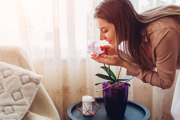 Woman smelling orchid in pot on table in living room. Housewife taking care of home plants and flowers. Interior decor - Photo, Image