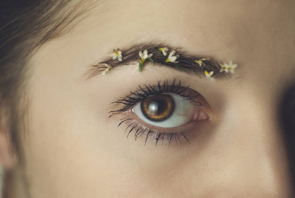 Piękne spojrzenie kobiecego oka. Dziewczyna brwi jest ozdobiona małymi kwiatkami. - Zdjęcie, obraz