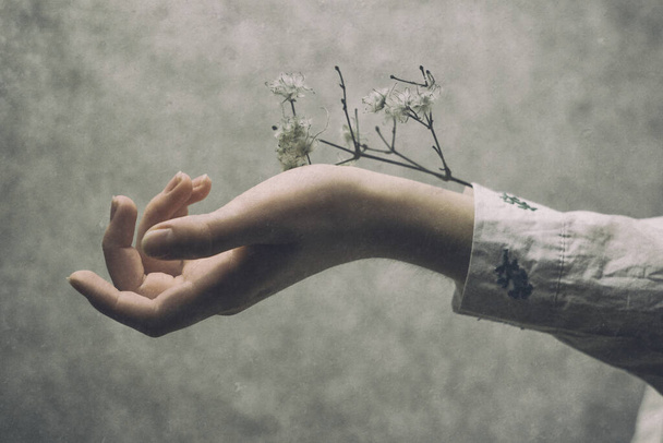 Zachte handen van een meisje met een naakte manicure op een grijze grunge achtergrond met bloemen. Creatieve illustratie van de hand huidverzorging, componenten van natuurlijke cosmetica. Handen van een schattig meisje met lichtwitte mouwen met bloeiende planten. - Foto, afbeelding