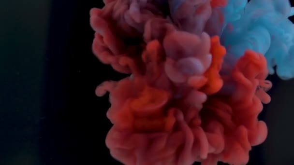 Kolor niebieski i czerwony krople farby w wodzie na czarnym tle - Materiał filmowy, wideo