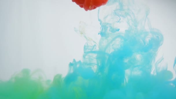 Zielony, niebieski i czerwony kolor farby wirujące pod wodą w hipnotyzujący żywy wir - Materiał filmowy, wideo