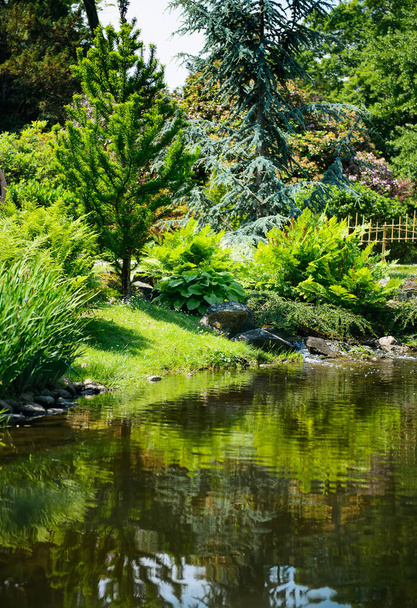 Summer japanese garden. Beautiful nature. City park - Foto, Imagem