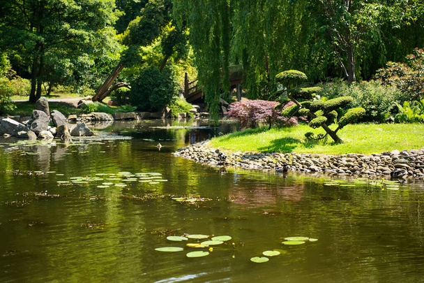 Summer japanese garden. Beautiful nature. City park - Valokuva, kuva