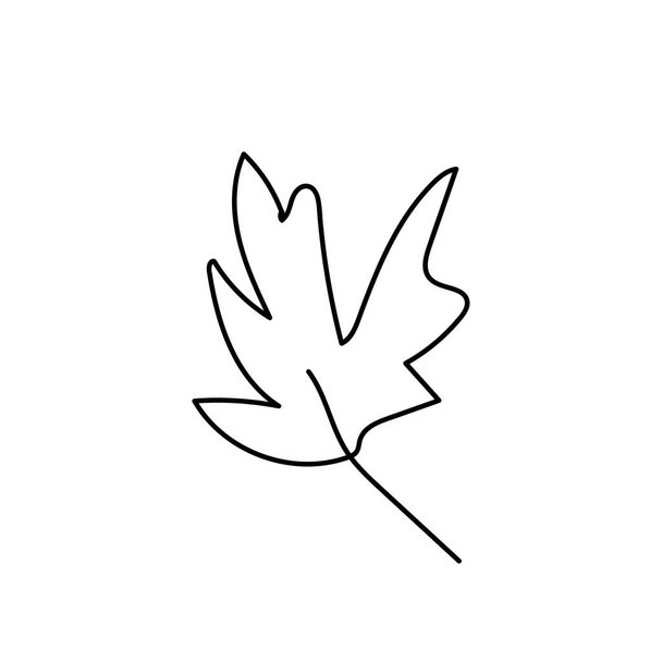 Simple vector maple leaf. Autumn,botanical illustration with black lines on white isolated background doodle. Design for coloring, postcards, web, poster, logo, print. - Vector, Image
