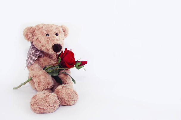 soft toy plush brown bear and red rose a flower - Photo, image