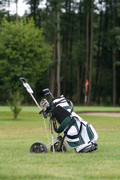 Golf táska - Fotó, kép