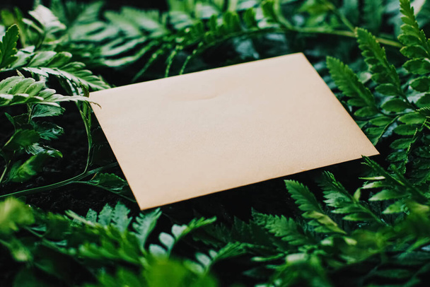 Порожній конверт і зелене листя в природі, паперова картка як фон, листування і бюлетень
 - Фото, зображення