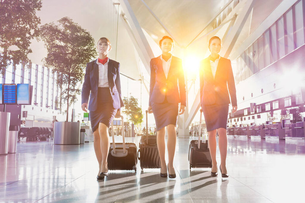 Portrait of young beautiful confident flight attendants walking in airport - Foto, Imagen