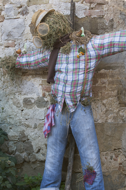 Scarecrow - Photo, Image