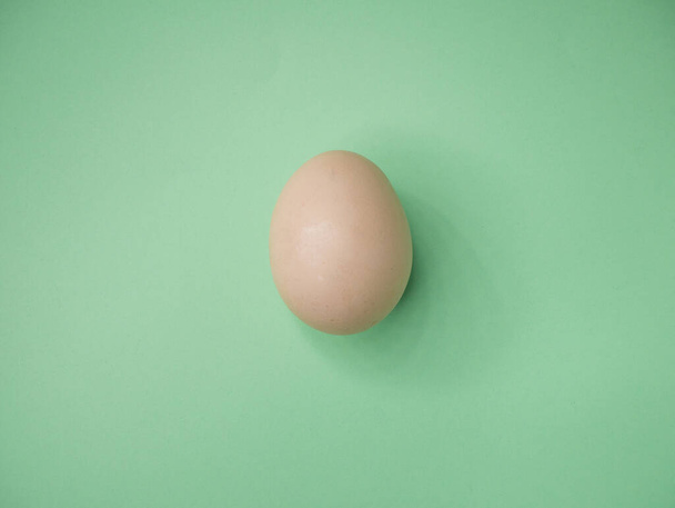 Beyaz yakın plan yumurta yeşil kağıt arka planda izole. Minimalizm kavramı. - Fotoğraf, Görsel