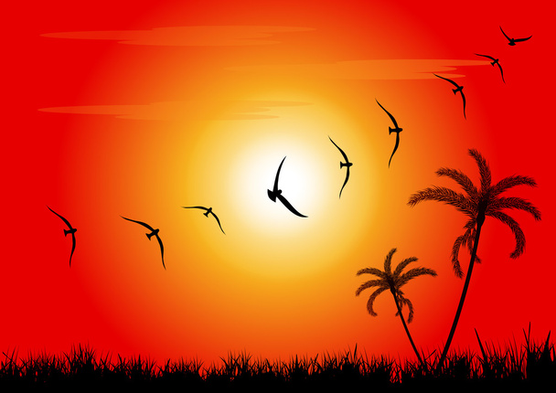 Puesta de sol y aves
 - Vector, imagen
