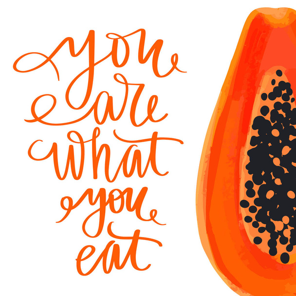 You are what you eat. Vector hand drawn lettering quote about healthy food. - Vettoriali, immagini