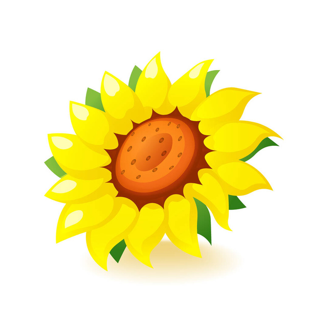 Bright yellow sunflower icon blossom isolated on white background - Vector, Image