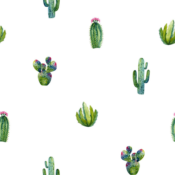 Seamless pattern of watercolor cactus. Colorful illustration isolated on white. Hand painted cacti perfect for kids wallpaper, interior design, fabric textile, cases, posters - Photo, Image