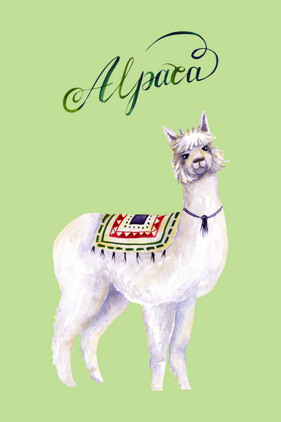Alpaca aquarela com inscrição caligráfica. Ilustração colorida isolada em verde. Pintado à mão animal perfeito para crianças cartaz, papel de parede, design de interiores, tecido têxtil, casos
 - Foto, Imagem