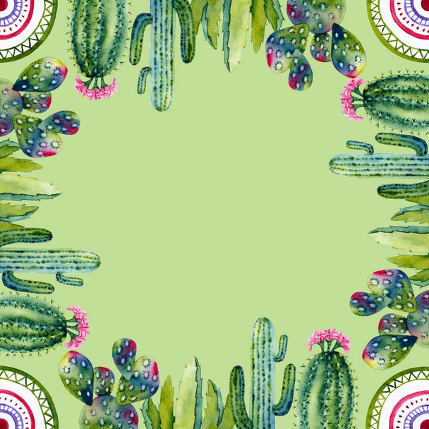 Aquarelcactussen en ornamenten. Kleurrijke illustratie geïsoleerd op groen. Handgeschilderde vetplanten perfect voor kinderen poster, behang, interieur ontwerp, textiel, kisten, kaart maken - Foto, afbeelding