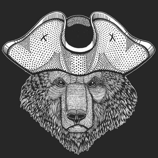 Urso selvagem. Chapéu de pirata. Retrato de animal para emblema, logotipo, camiseta
. - Vetor, Imagem