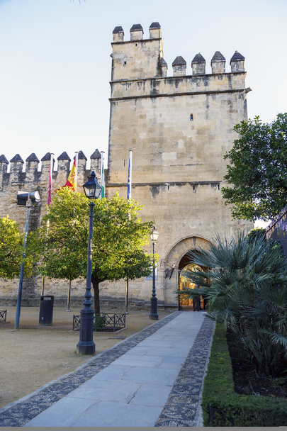 palacios reales de Córdoba
 - Foto, imagen