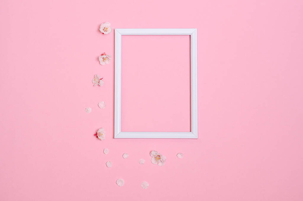 White frame, apricot tree flowers on a pink background. View from above. Flat lay, copy space. The concept of seasonality, spring. Place for text. - Foto, Bild