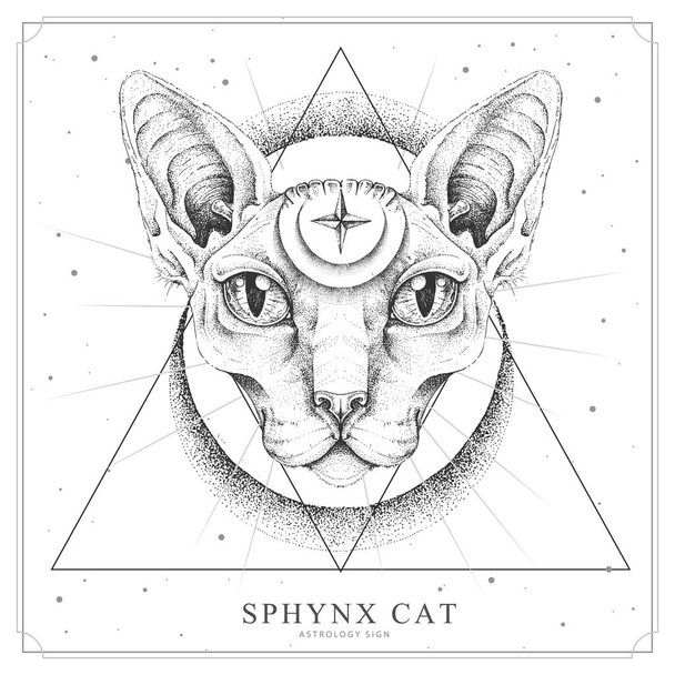 Σύγχρονη μαγική κάρτα με γάτα Σφίγγα και μάτι που βλέπει τα πάντα. Ρεαλιστικό χέρι που σχεδιάζει κεφάλι γάτας sphynx - Διάνυσμα, εικόνα