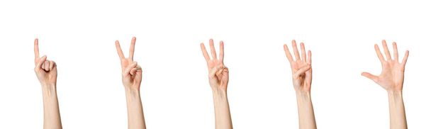 женские руки, считая от одного до пяти изолированных на белом фоне
 - Фото, изображение