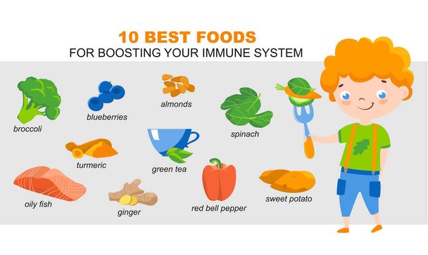 Diez mejores productos para la salud inmune. Vector
 - Vector, imagen