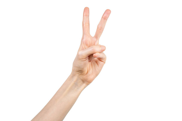 Mano femminile caucasica fare segno di pace con la mano su sfondo bianco. Un gesto della mano. Concetto di gesticolazione
. - Foto, immagini