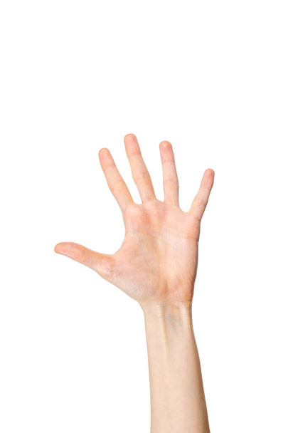 若い白人女性の左手、手のひらの番号を示すカメラに直面して5 。私に5つのジェスチャーを. - 写真・画像