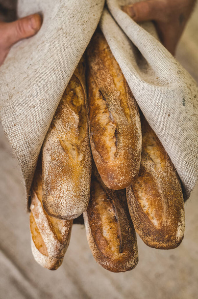 Buckwheat baguettes in baker's hands. Gluten free. Soft focus - Photo, image