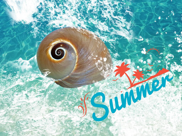 fundo de verão concha no mar onda azul marinho água splash modelo fundo com letras de verão cópia espaço banner
 - Foto, Imagem