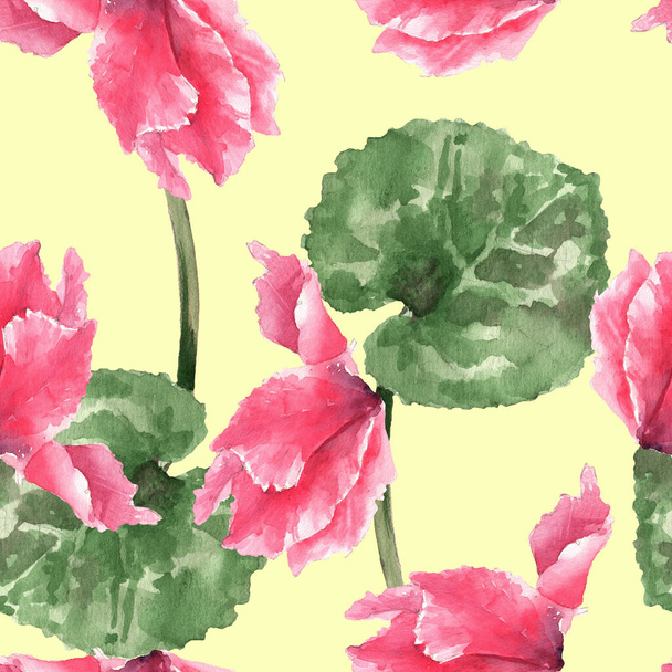 kukka Cyclamen persia vaaleanpunainen vesiväri luonnos saumaton kuvio. käyttö kankaalle, paperille jne.. - Valokuva, kuva