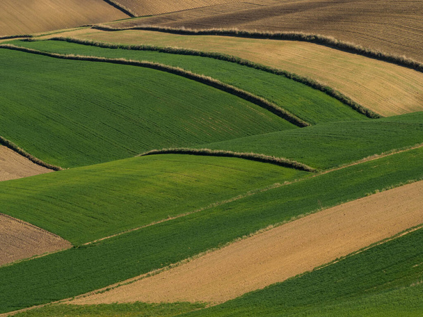Paisagem de primavera do campo de campos arados. Grama verde e terra castanha. Ponidzie. Polónia
 - Foto, Imagem