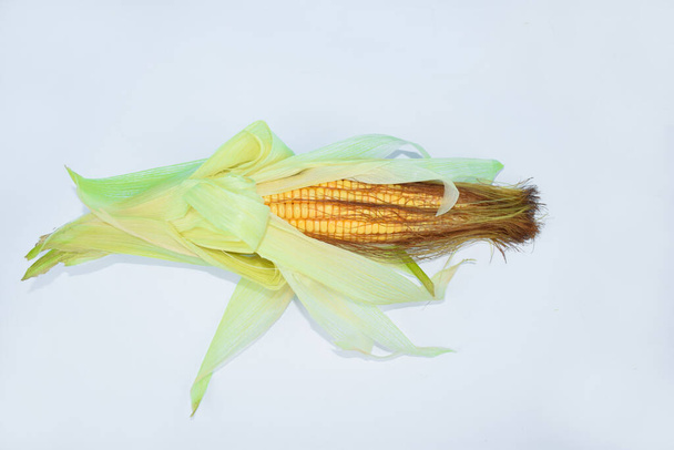 Ohr eines frischen und köstlichen gelben Mais isoliert auf einem leeren weißen Hintergrund - Foto, Bild
