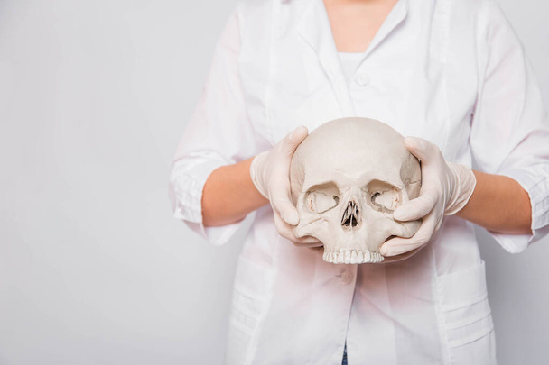 Close-up human skull in the hands of a female doctor on a white background. The concept of forensic medicine and archeology. - 写真・画像