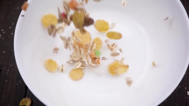 Close-up of muesli poured in a white bowl - Кадры, видео