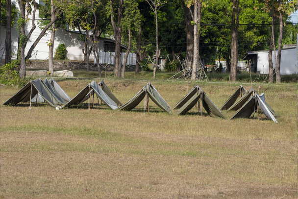 Namiot zwiadowczy w obozie leśnym. - Zdjęcie, obraz