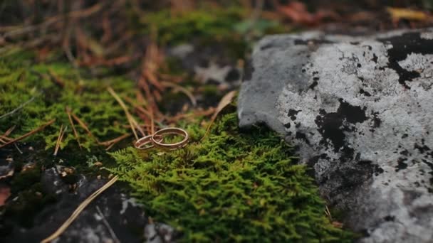  Anillos de boda se encuentran en un musgo cerca de una roca
 - Imágenes, Vídeo