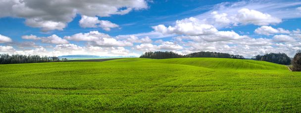 Panoramablick Felder Winterweizen in hügeligem Gelände im Frühling mit bewölktem Himmel - Foto, Bild
