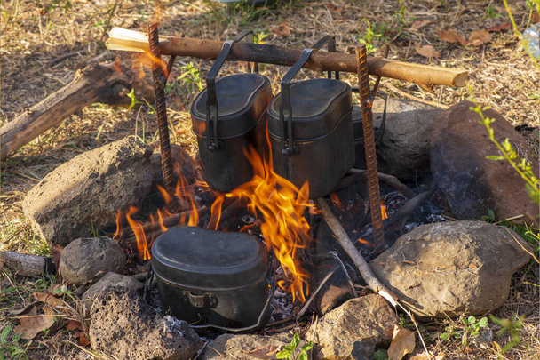 Kırsal bölgelerde çocukların tatilinde kamp yapmak ve yemek pişirmek. - Fotoğraf, Görsel